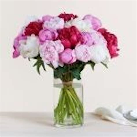 interflora it|consegna fiori online.
